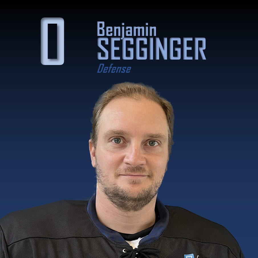 4 Segginger